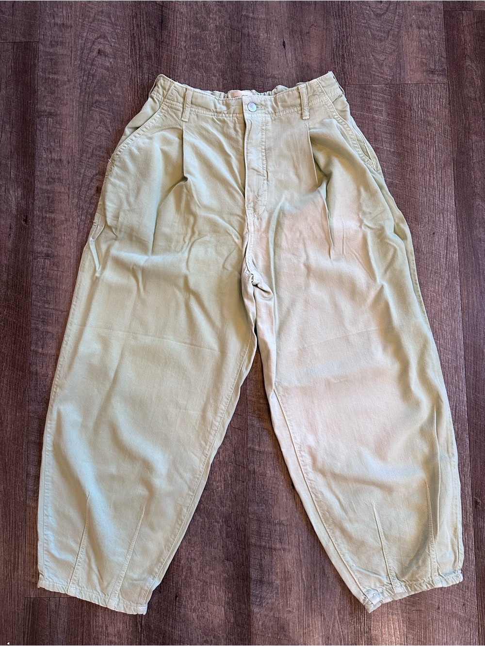 Pilcro Anthro The Breaker Wide Leg Barrel Pleated Pants in Faded Mint NWOT 28